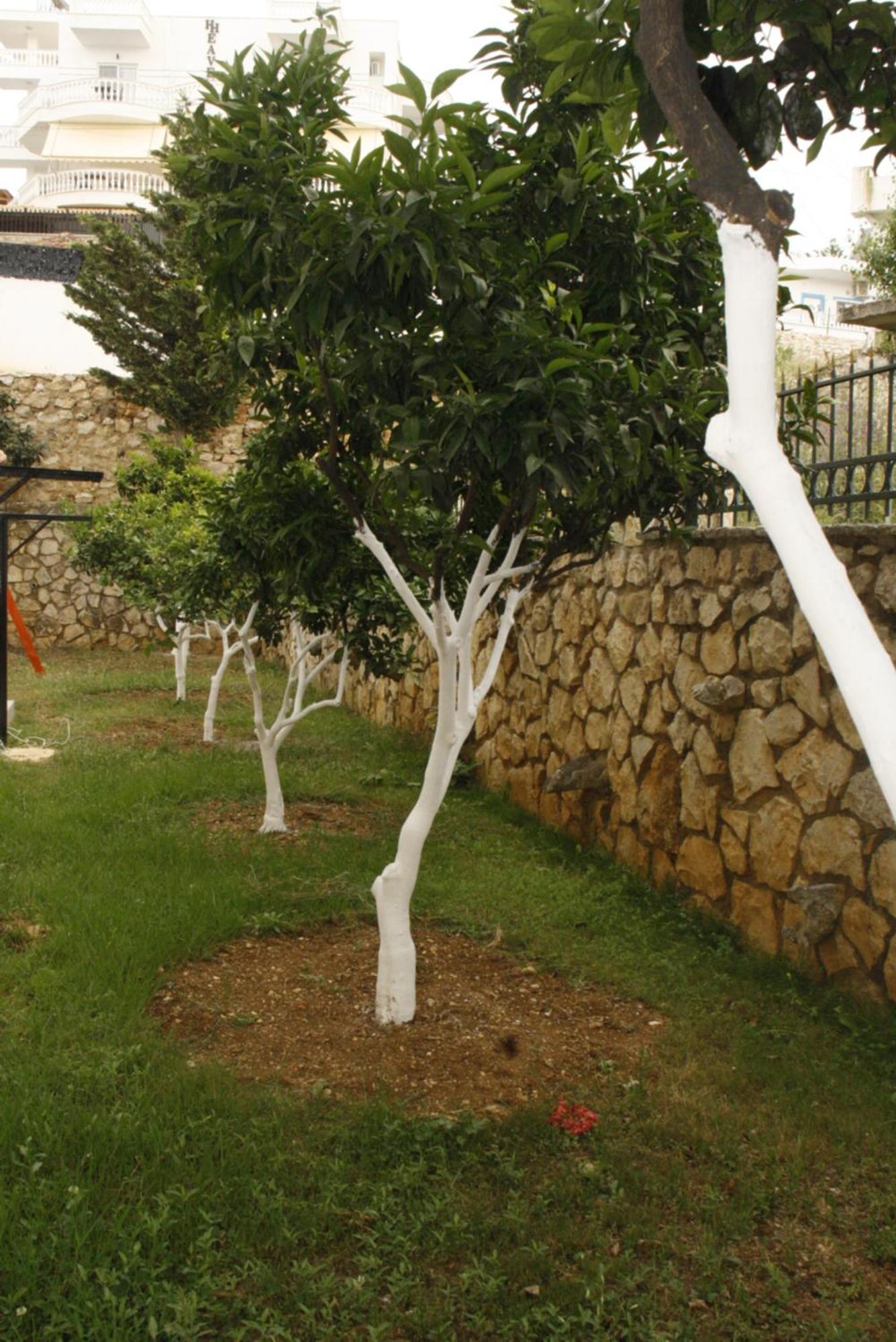 Villa Kreshta Ksamil Dış mekan fotoğraf